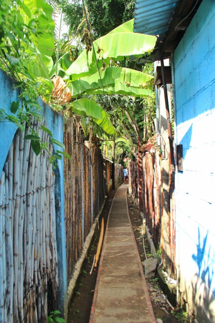 Narrow Streets in San Marcos de Laguna